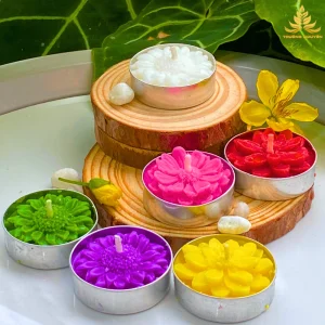 Hộp 21 Viên Nến Xu Tealight Sáp Bơ Organic, An Toàn, Không Khói ,Nến Bơ Thực Vật Trang Trí, Cúng Phật,Thần Tài Cháy 2h