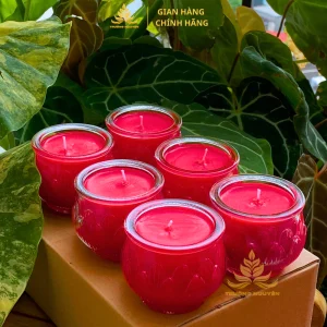 Hộp 6 Cốc Nến Bơ Organic Cốc Thuỷ Tinh Hoa Sen 400ML,200ML,100ML Cháy 72h