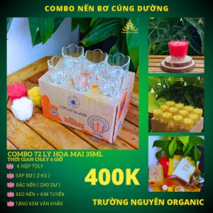Combo Làm 72 Ly Hoa Mai + 2kg Sáp Bơ, Tặng Tim Đèn, Keo Nến, Văn Khấn - Nguyên Liệu Làm Nến Bơ Cúng Dường