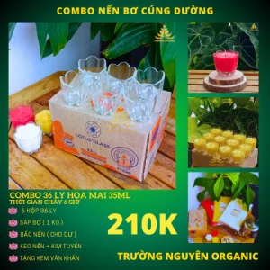 Combo Làm 36 Ly Hoa Mai 35ml + 1kg Sáp Bơ, Tặng Tim Đèn, Keo Nến, Văn Khấn - Nguyên Liệu Làm Nến Bơ Cúng Dường