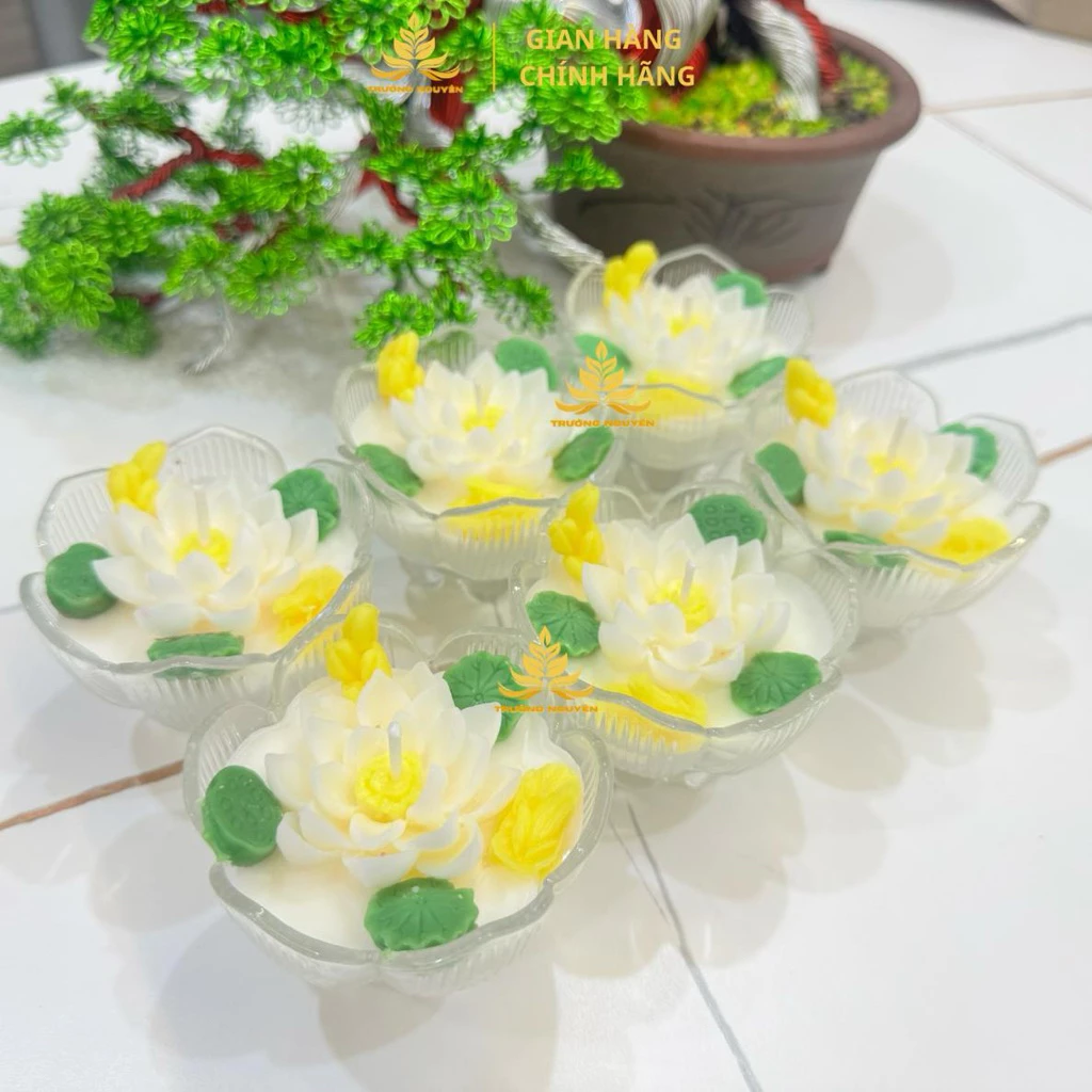 vn-11134207-820l4-mjzrmy4ryvpe2f