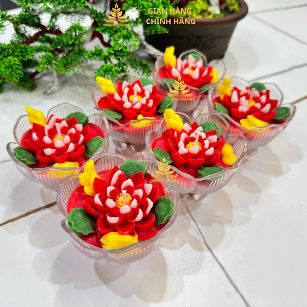 vn-11134207-820l4-mjzrmy4y914w6e